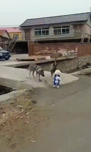 Городская приехала