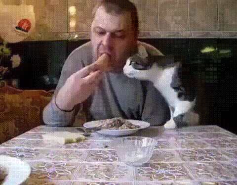 - Ну че ты, ну дай куснуть