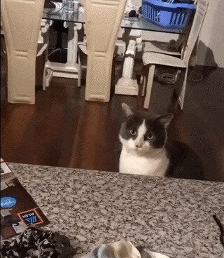 - Кто пойдет отвечать