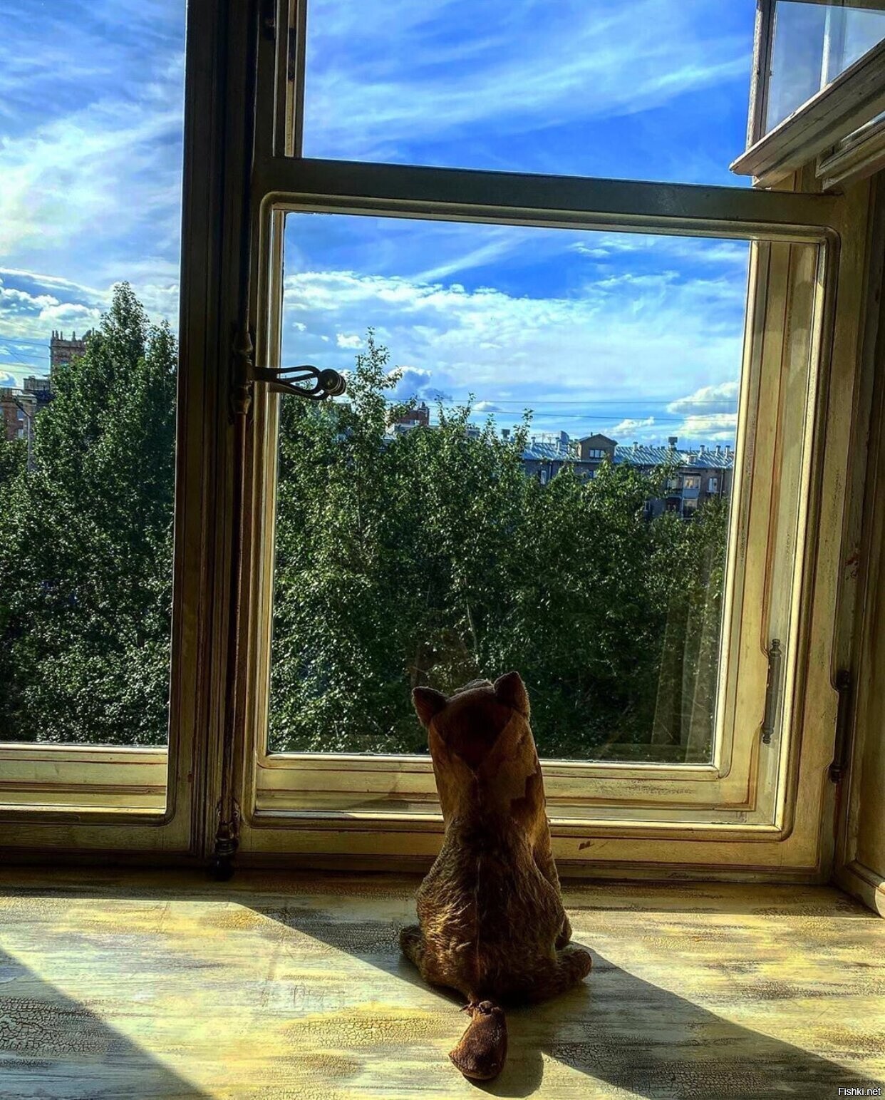 Солянка