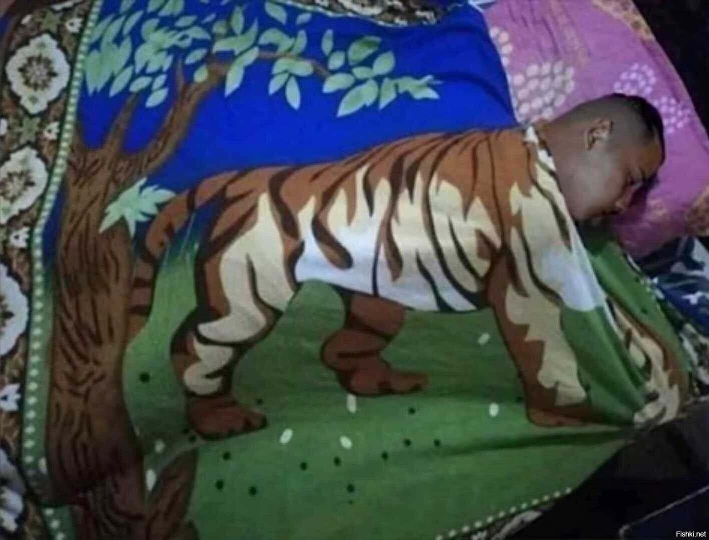Крадущийся Тигр )