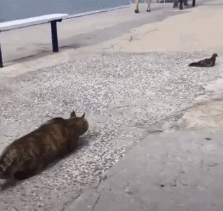 - Да не очень то и хотелось