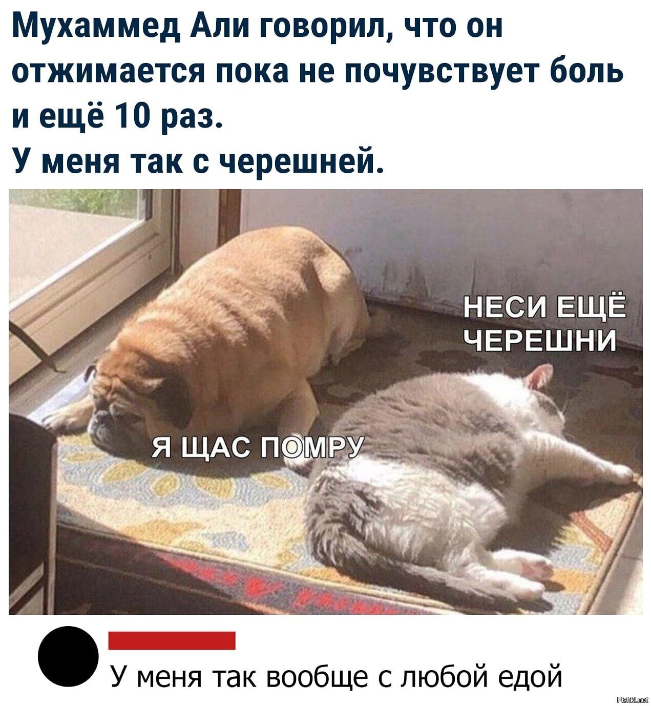 Солянка