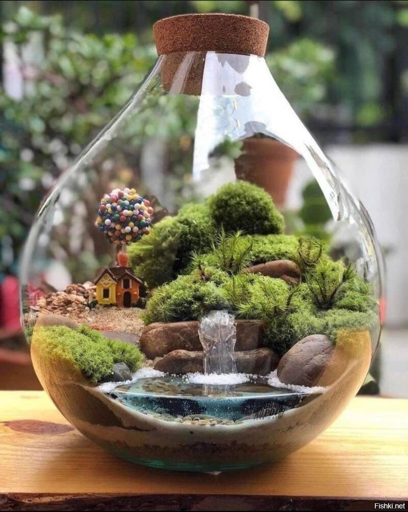 Солянка