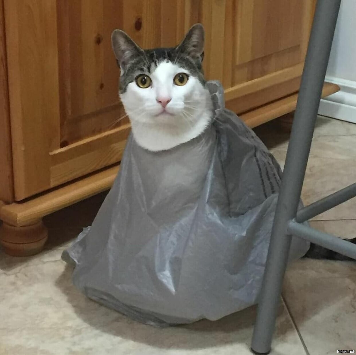 Солянка