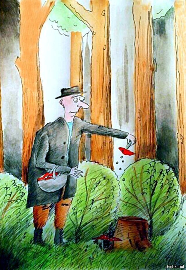 Солянка