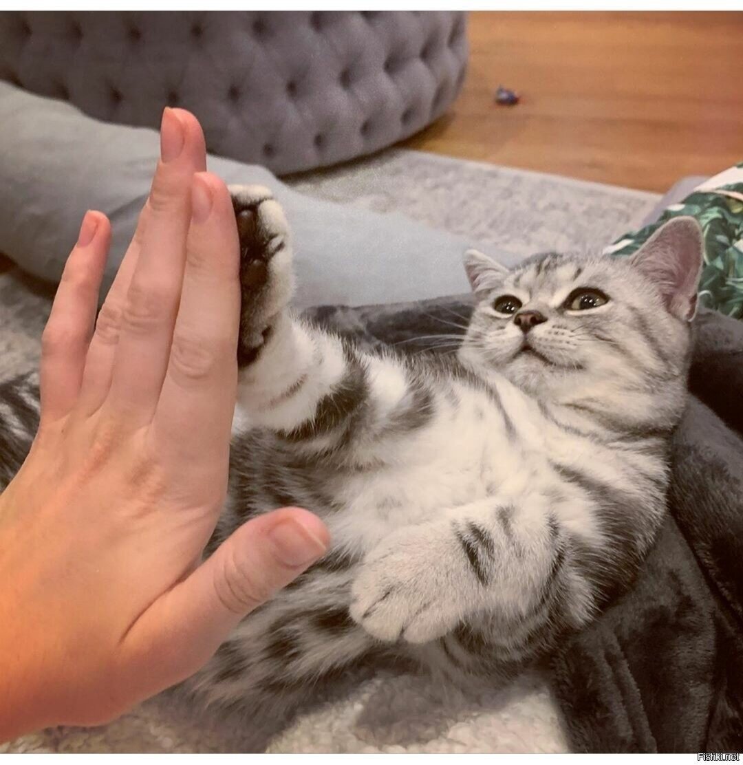 Доброе утро