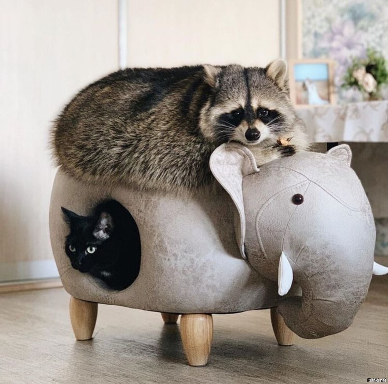 Солянка