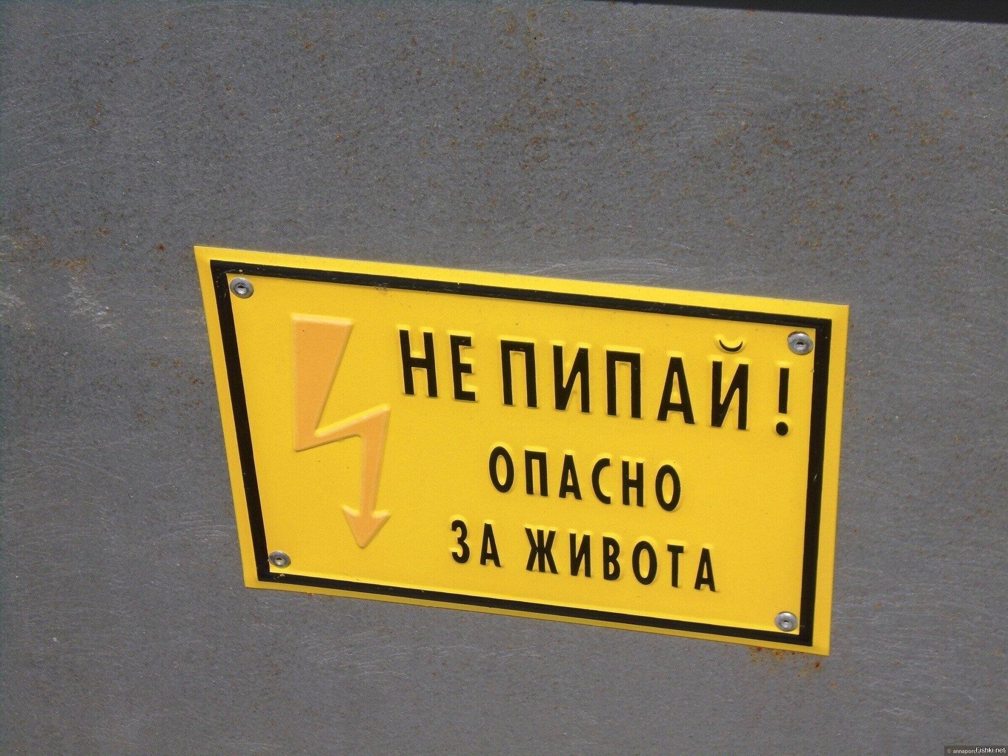 Кто такой пипай