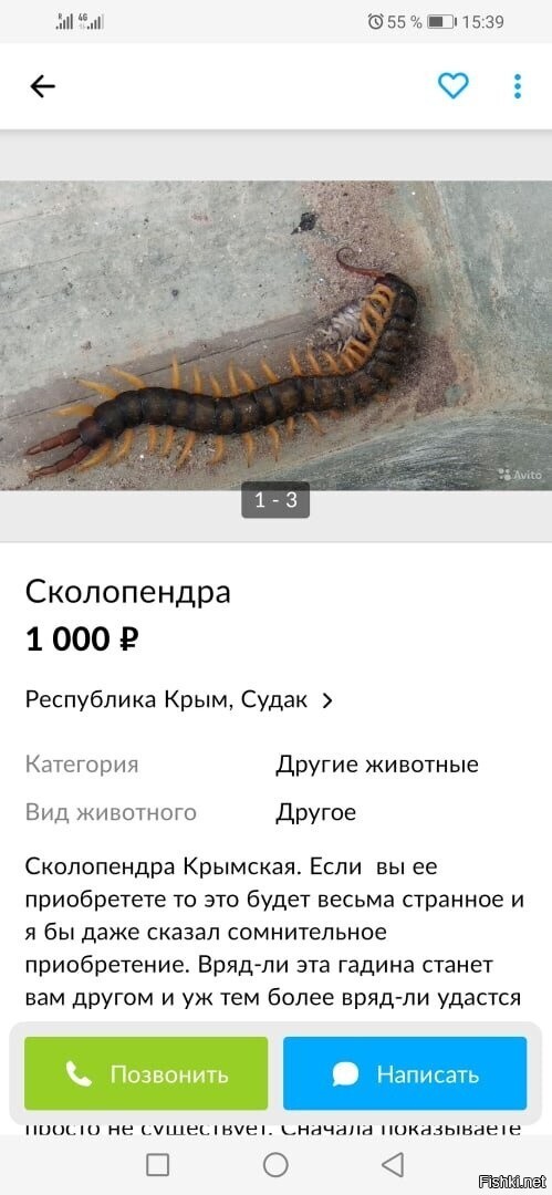 Очень предприимчивые Крымчане
