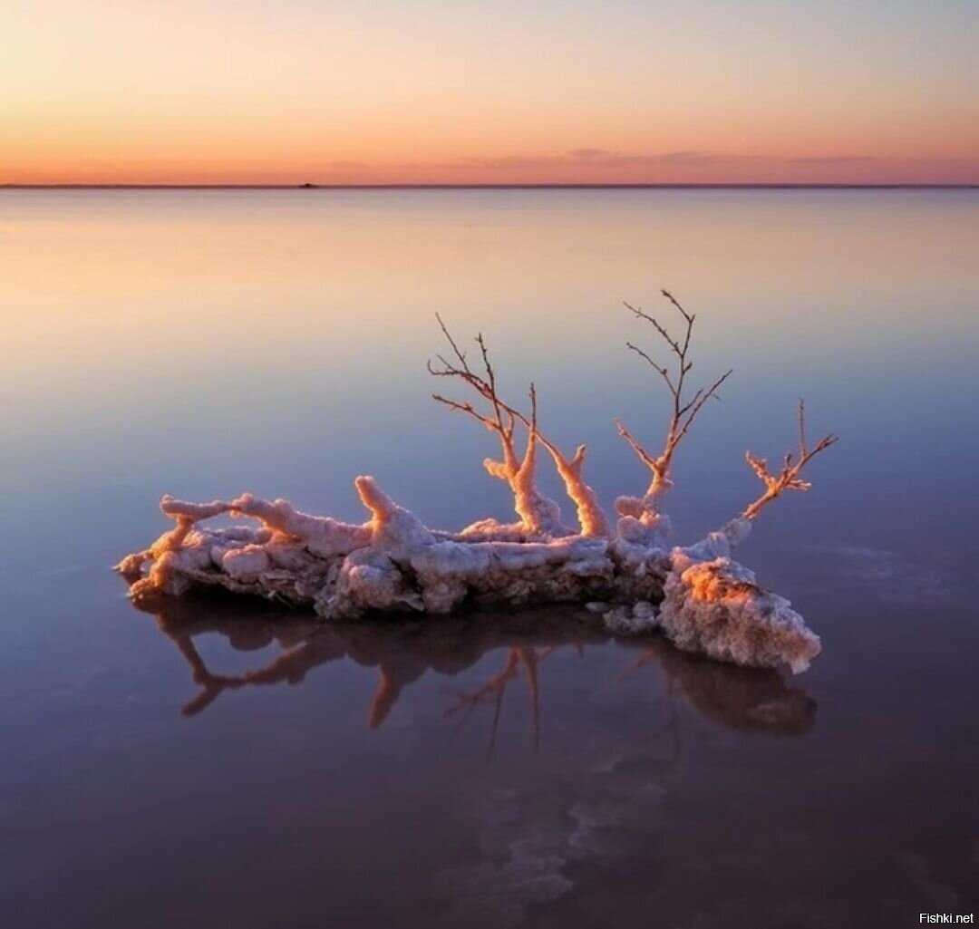 Кристаллы розового озера, Крым
