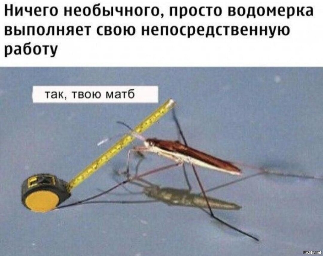 Ей бы курвиметр или хотя бы шагомер