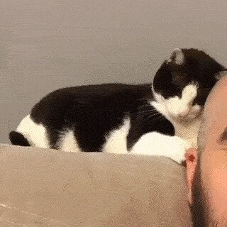 - Клевая штукенция