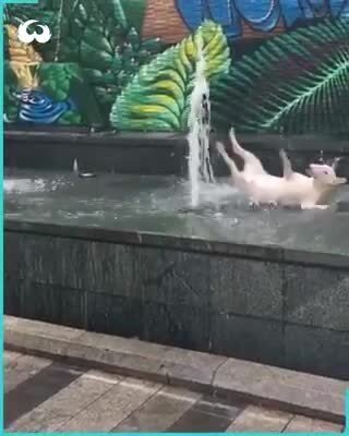 Неловкая, но веселая )