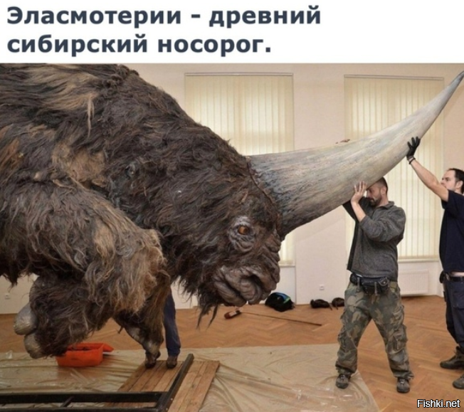 Мамма дорогая
