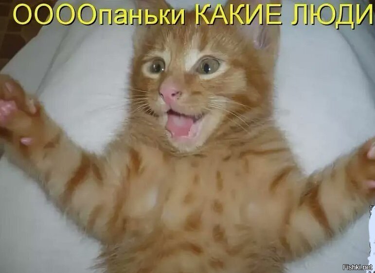 утро