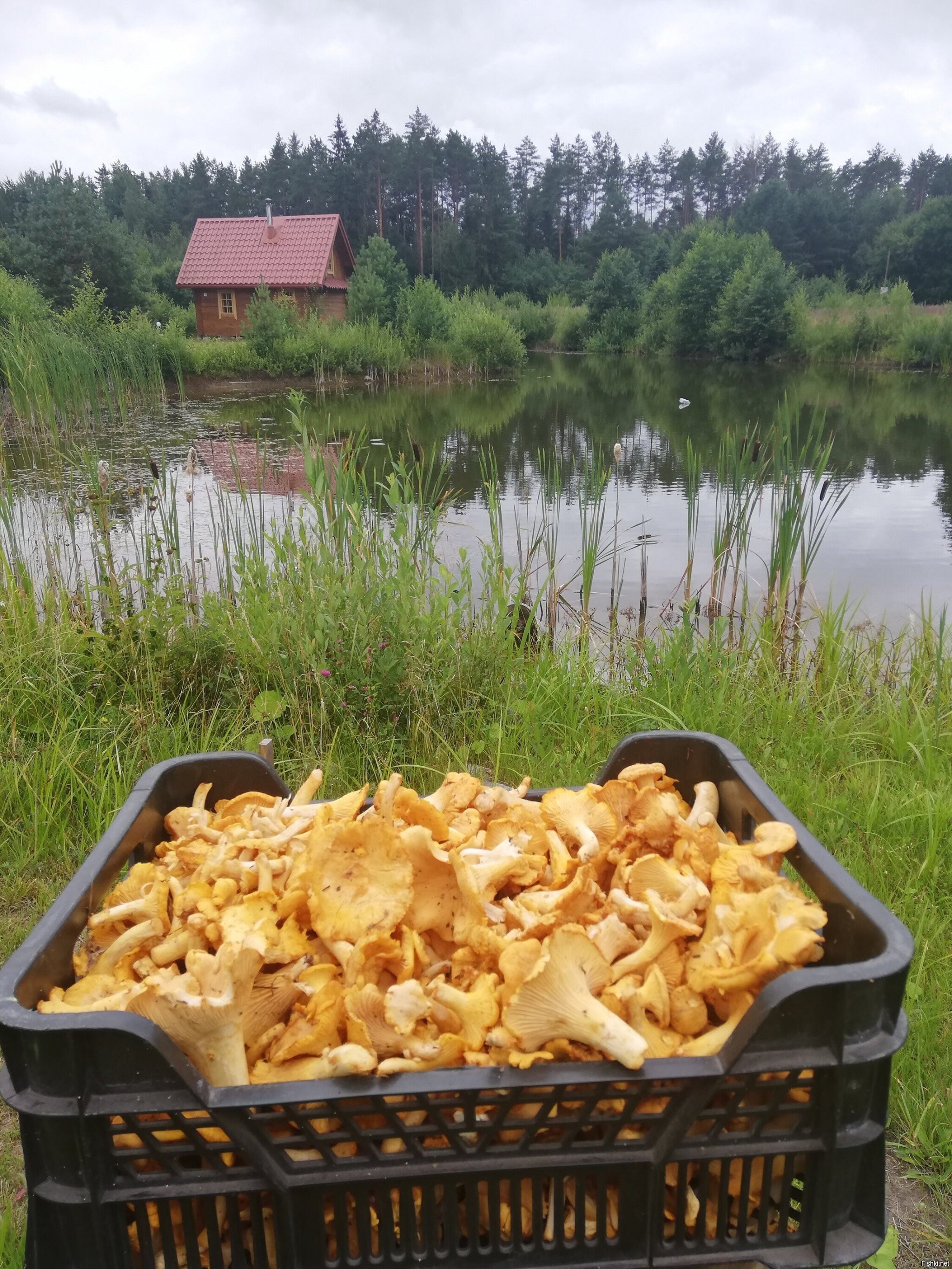 Накосил маленько