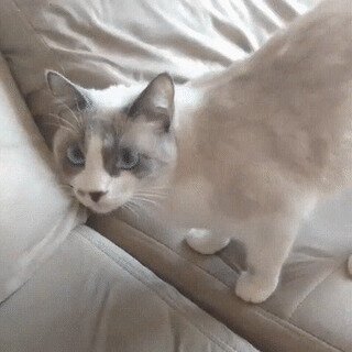- Злые вы