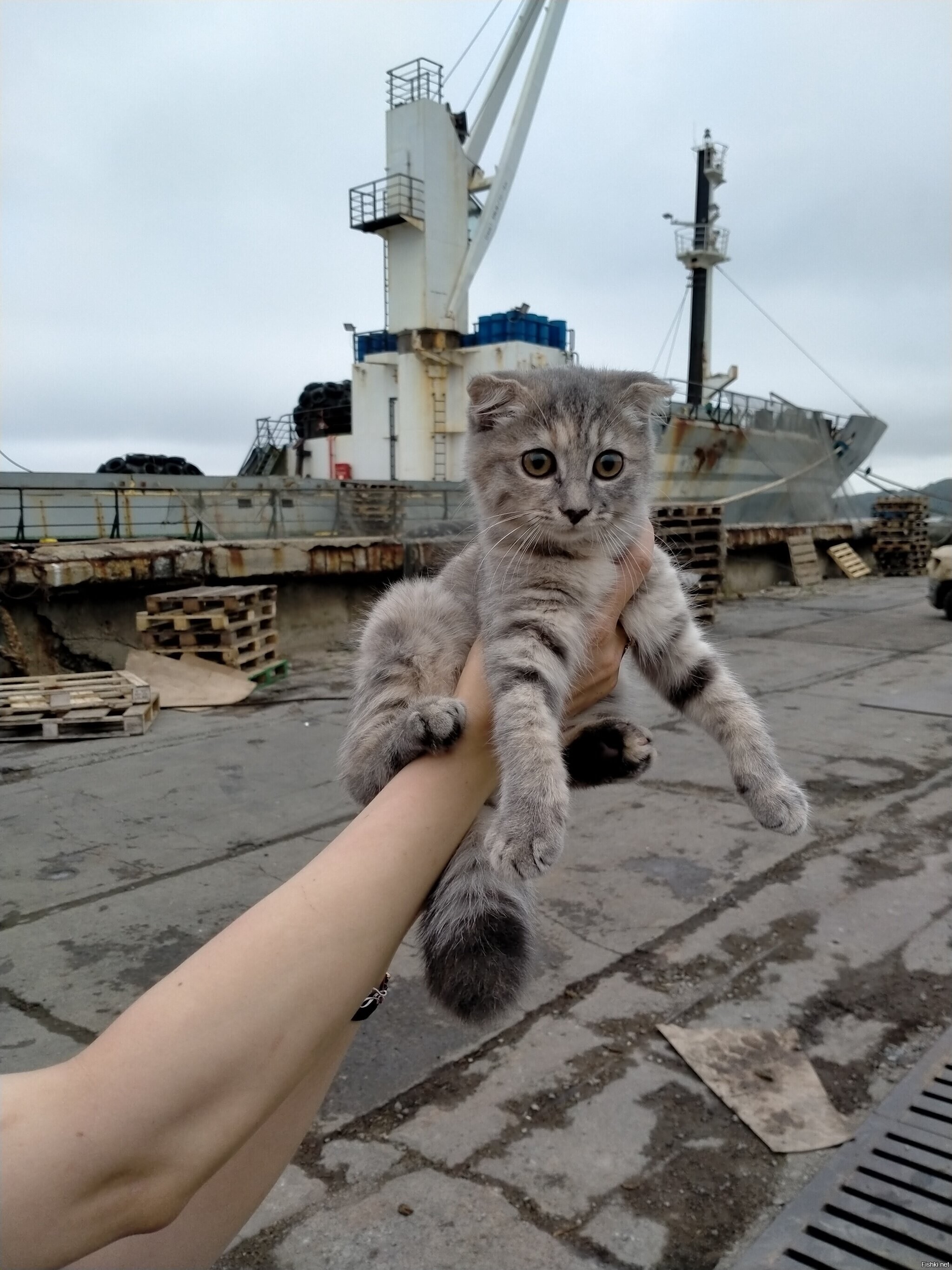 Боцман