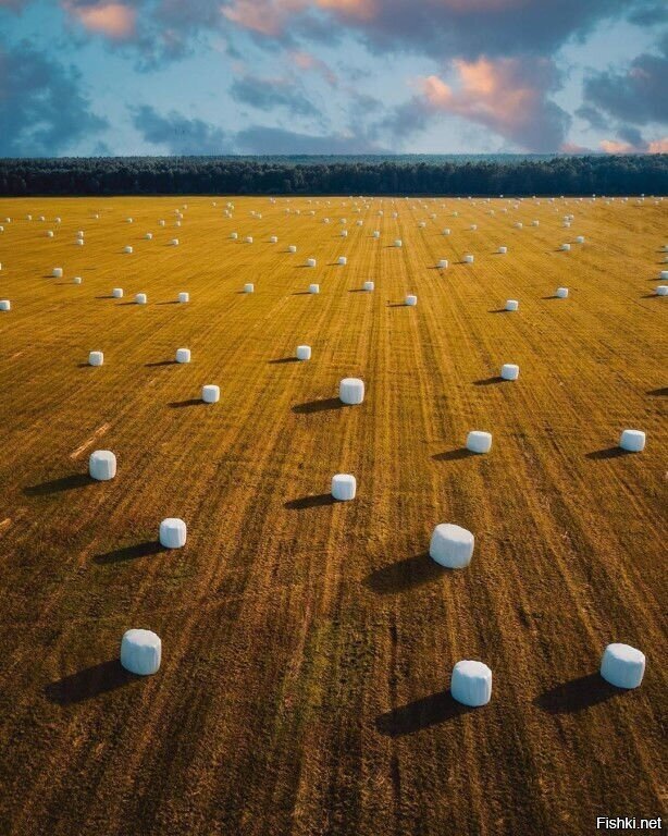 Радостная картина