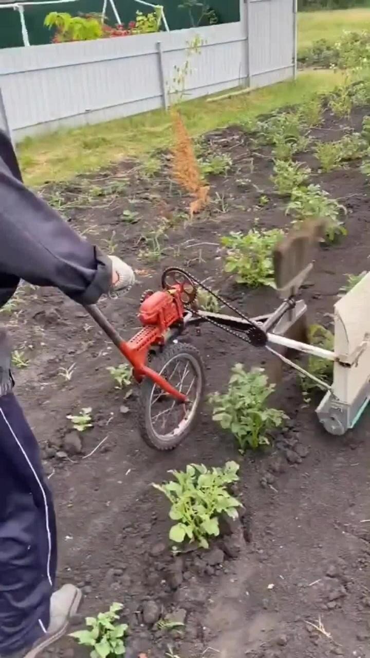 Огородникам на заметку: