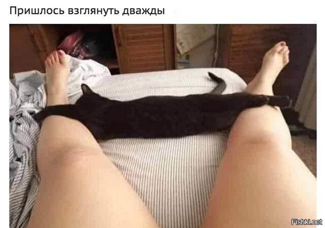 Показалось