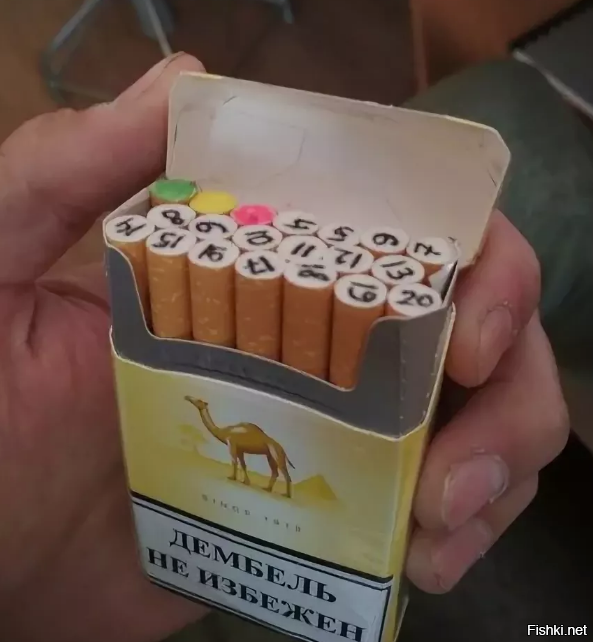Солянка