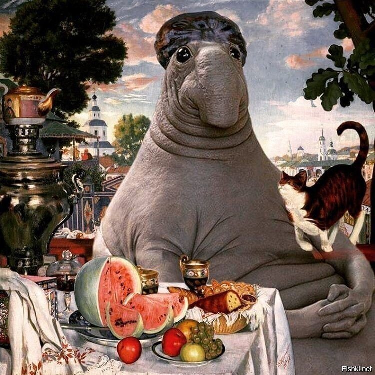 Солянка