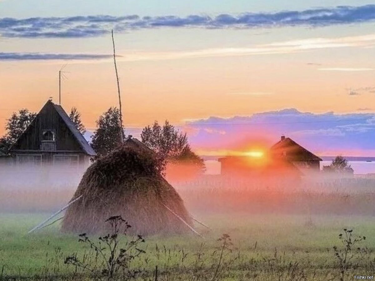 Солянка