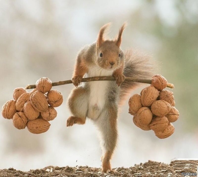 Знайте, вот что не безделка: