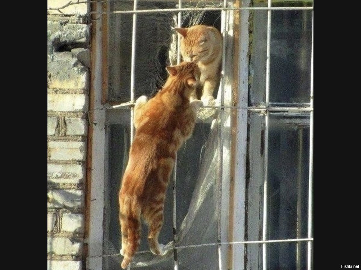 Ромео и Джульетта