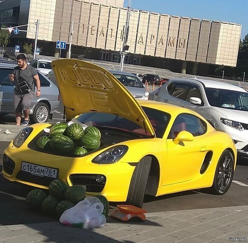 Кайман в Краснодаре