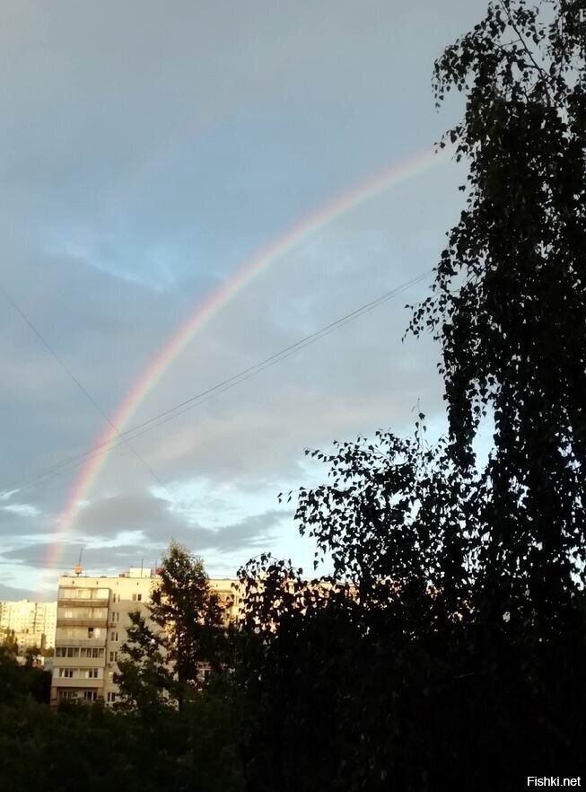 Балует нас в этом году природа радугами