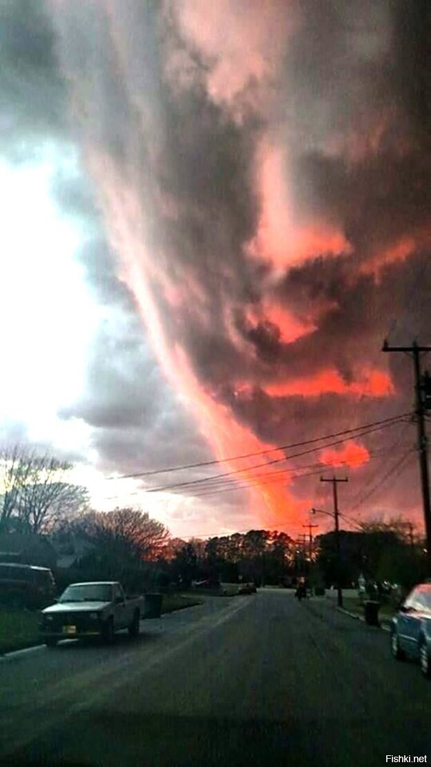 Солянка