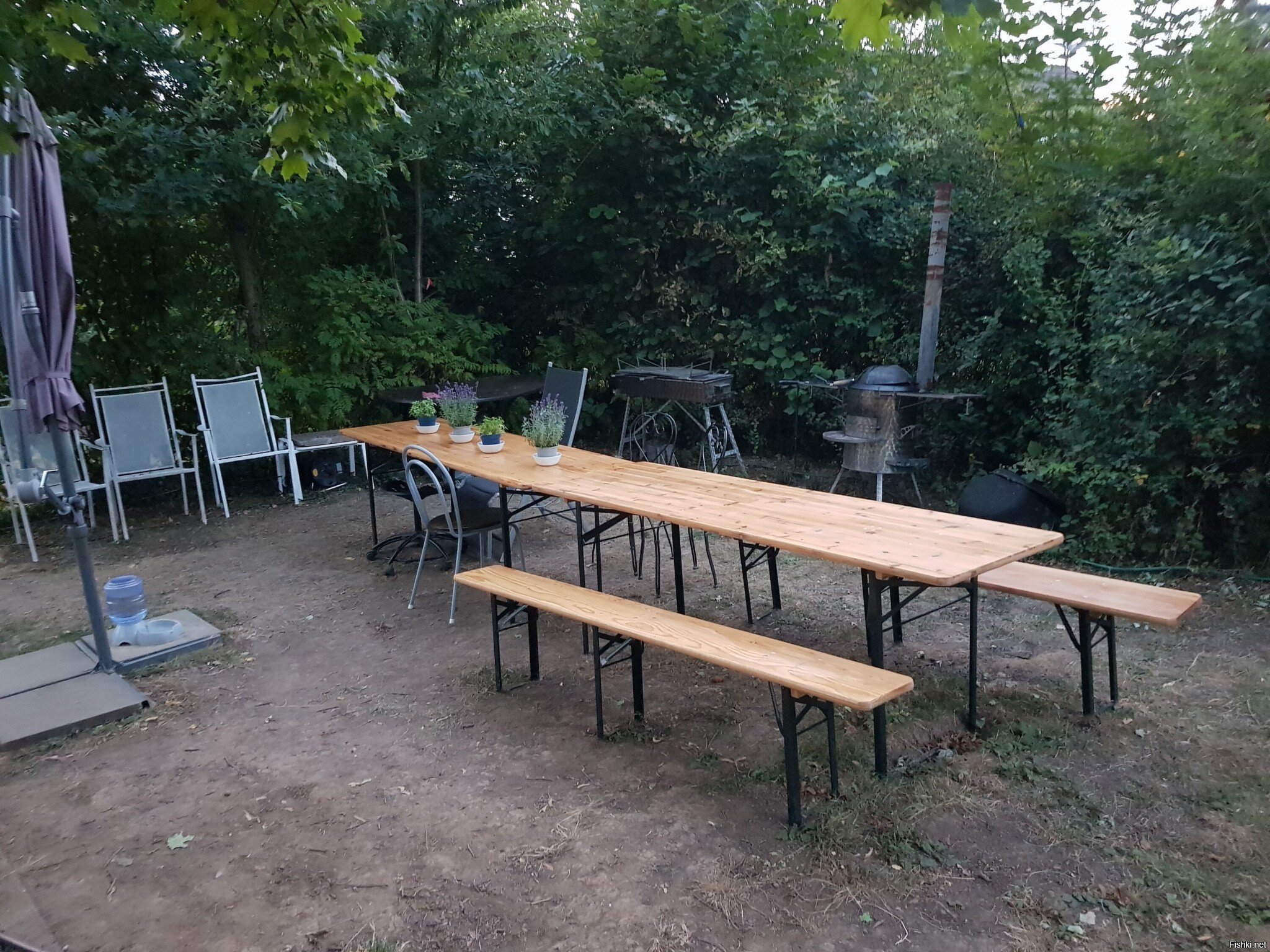 Хорошо в деревне летом