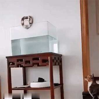 ...................／＞　 フ.....................
　　　　　| 　_　 _|
　 　　　／`ミ _x 彡
　　 ...