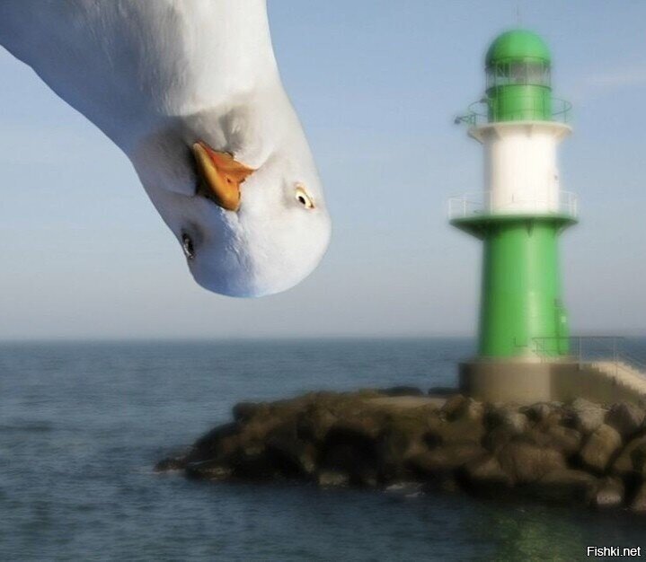 А вы сегодня улыбались 