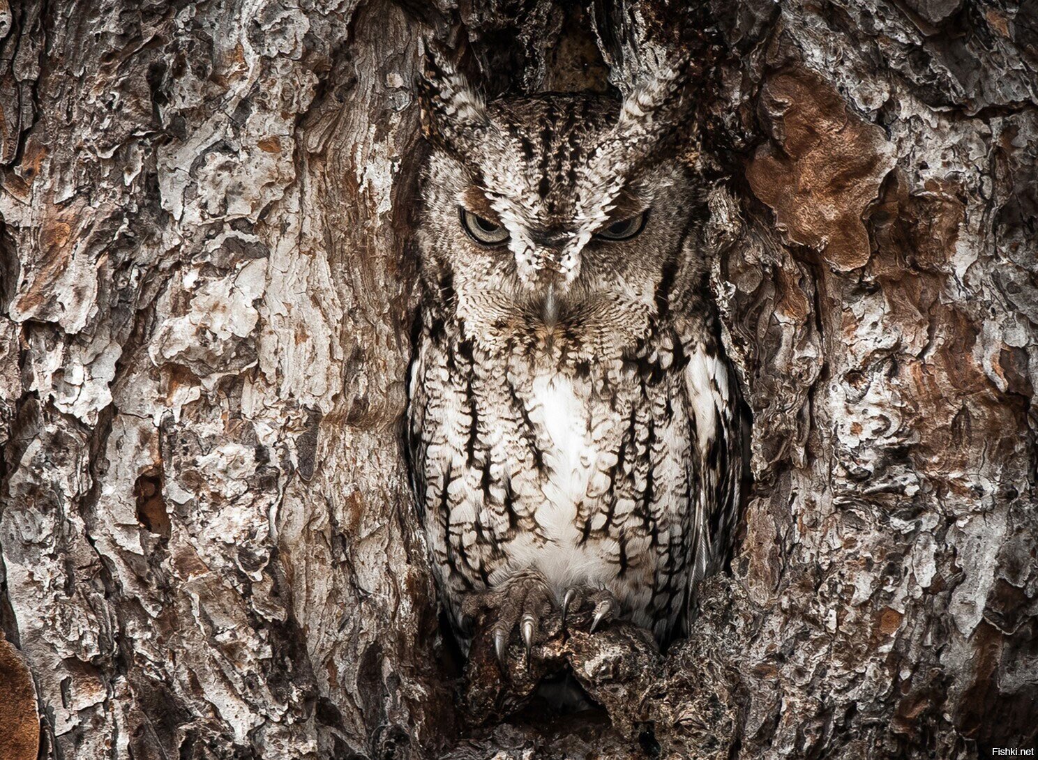 С добрым утром