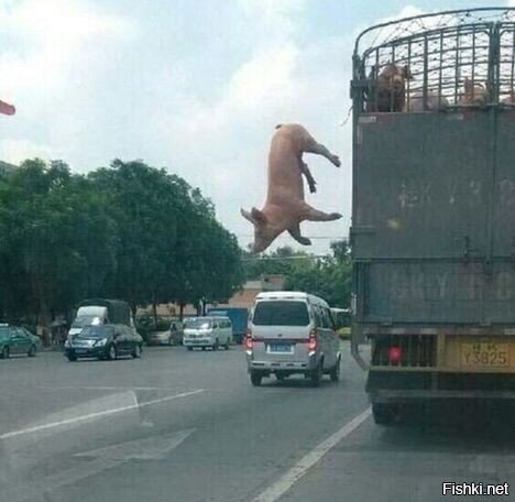 Побег из Шоушенка)