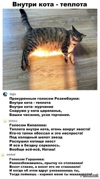 Солянка