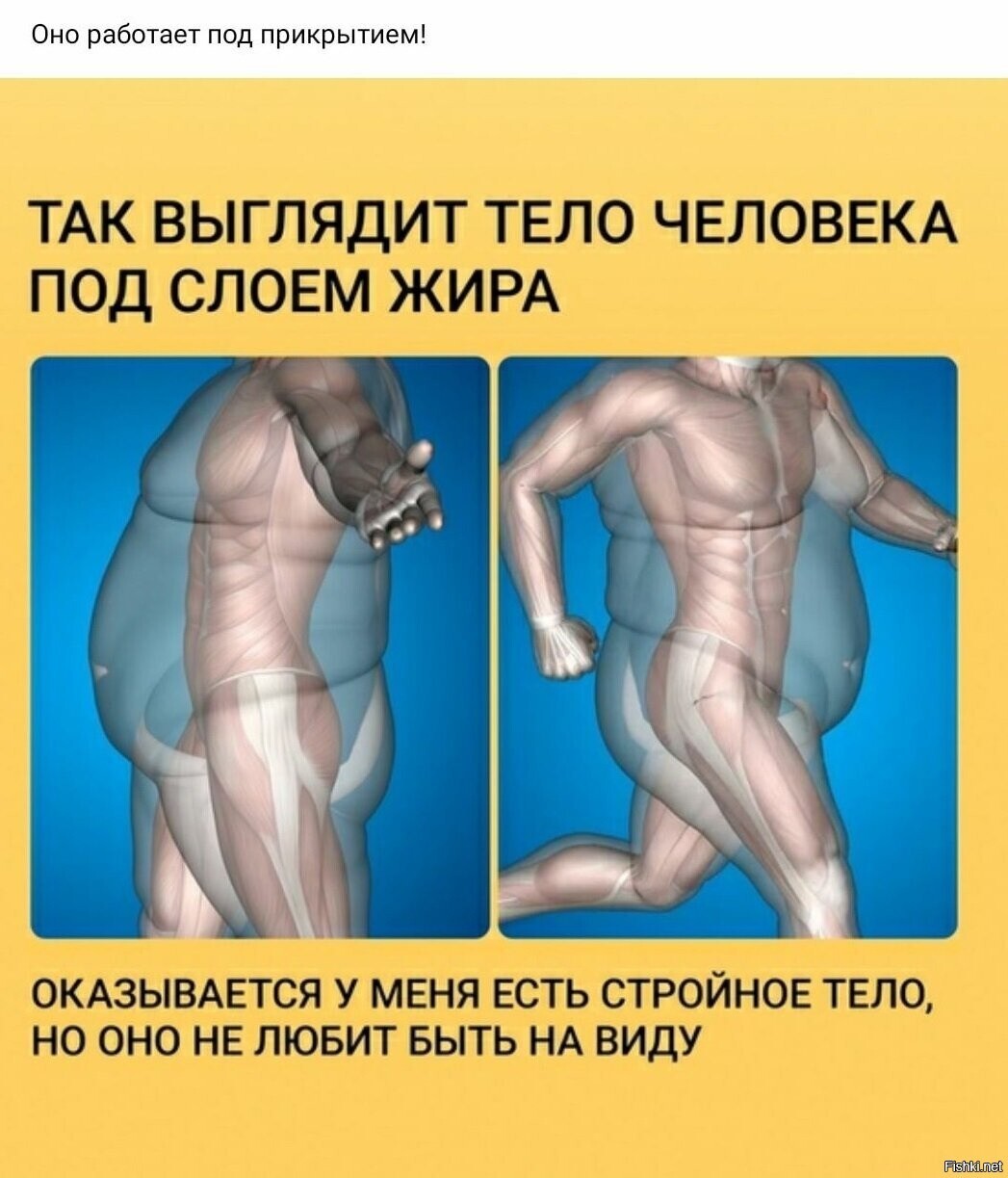 Всем привет