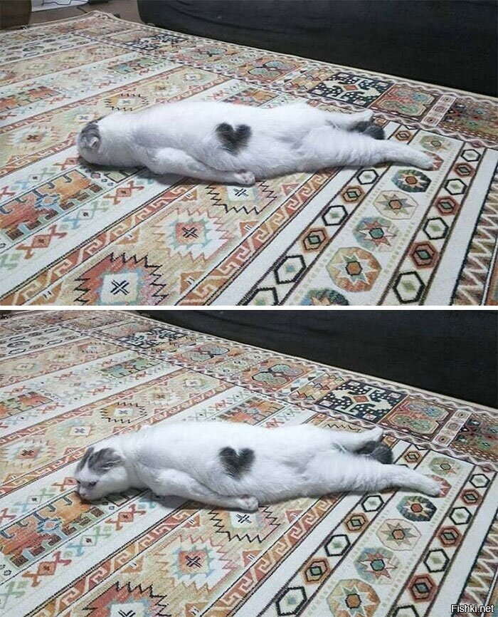 Я устал