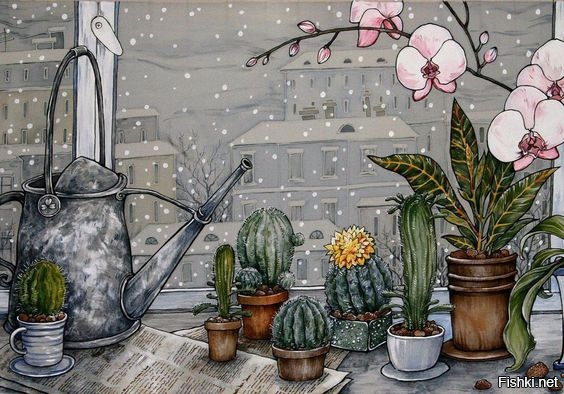 Одинокий кактус видел