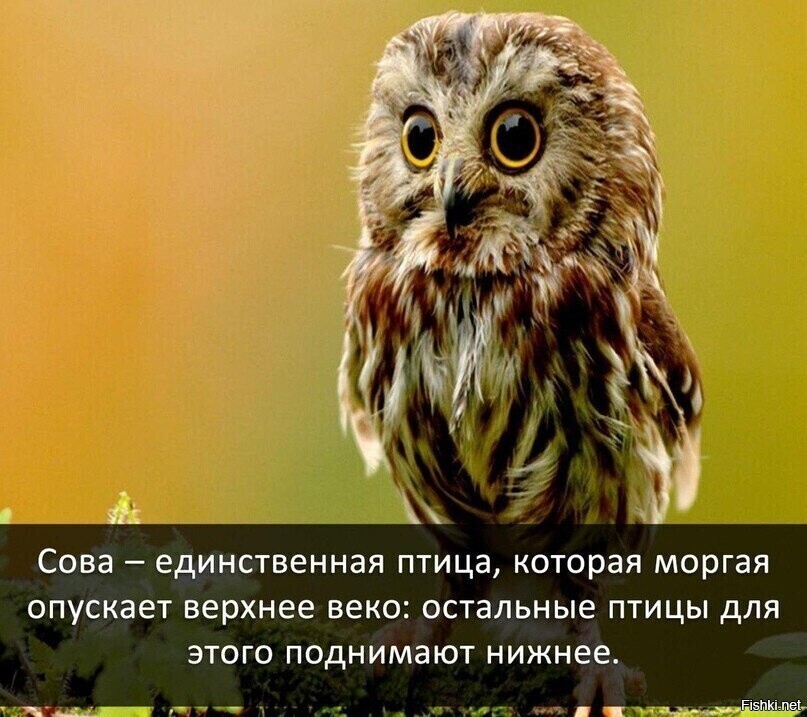 Что,правда