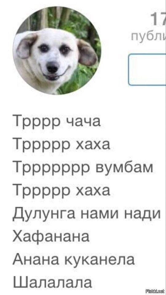 И тут Сутулая-