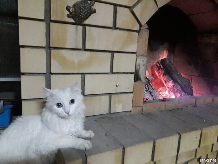 Все любят камин