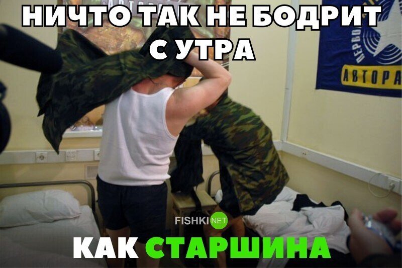 Прикольные и смешные картинки