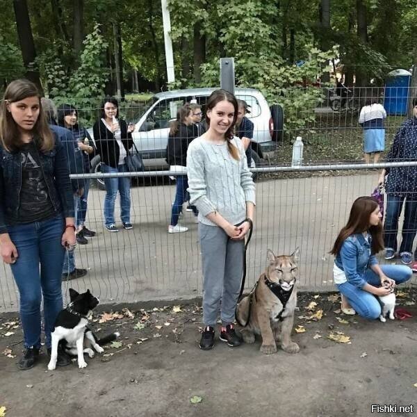 Конкурс