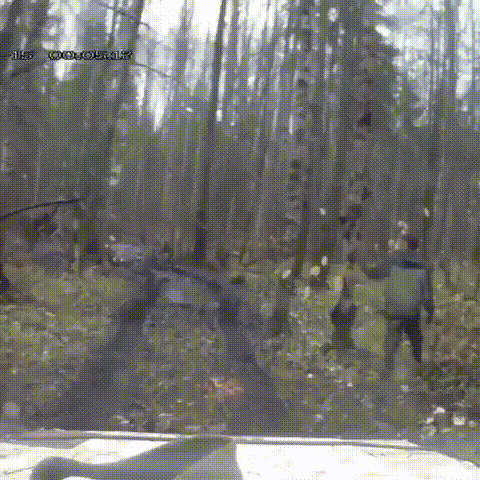 1 - 0 в пользу природы