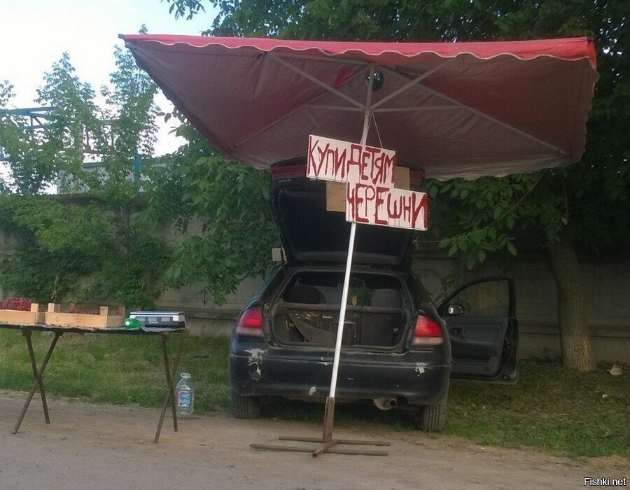 Солянка